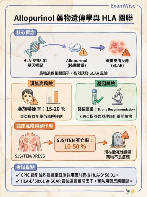醫檢師 - 藥物相關基因檢測 - AI 圖文解析預覽
