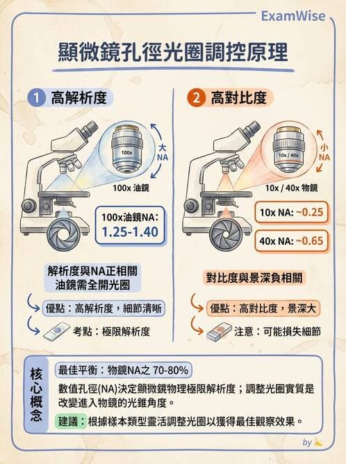 醫檢師 - 顯微鏡原理與操作 - AI 圖文解析預覽