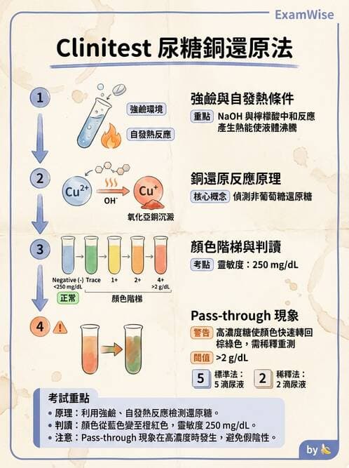 醫檢師 - 尿液化學檢驗 - AI 圖文解析預覽