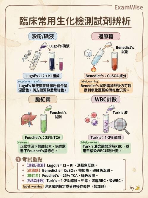 醫檢師 - 糞便常規檢查 - AI 圖文解析預覽