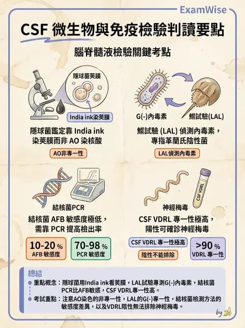醫檢師 - 腦脊髓液檢查 - AI 圖文解析預覽