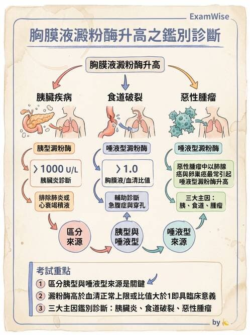 醫檢師 - 穿刺液檢查 - AI 圖文解析預覽