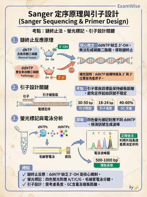 醫檢師 - 定序電泳與表觀分析 - AI 圖文解析預覽
