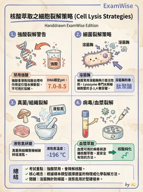 醫檢師 - 核酸擴增與萃取技術 - AI 圖文解析預覽