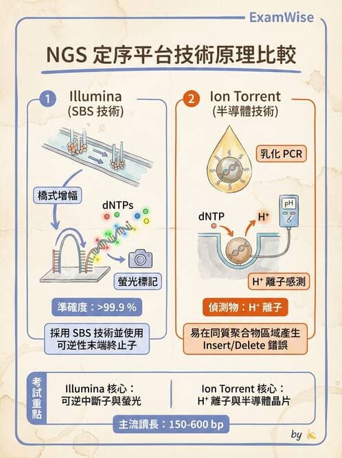 醫檢師 - 定序電泳與表觀分析 - AI 圖文解析預覽