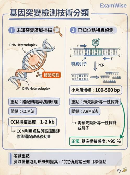 醫檢師 - 定序電泳與表觀分析 - AI 圖文解析預覽