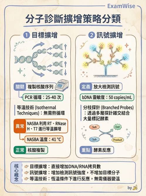 醫檢師 - 核酸擴增與萃取技術 - AI 圖文解析預覽