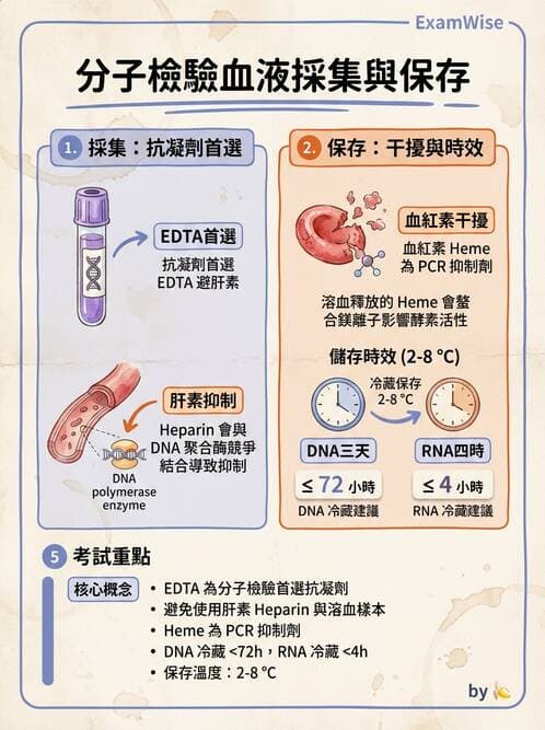 醫檢師 - 分子檢驗品質管理 - AI 圖文解析預覽