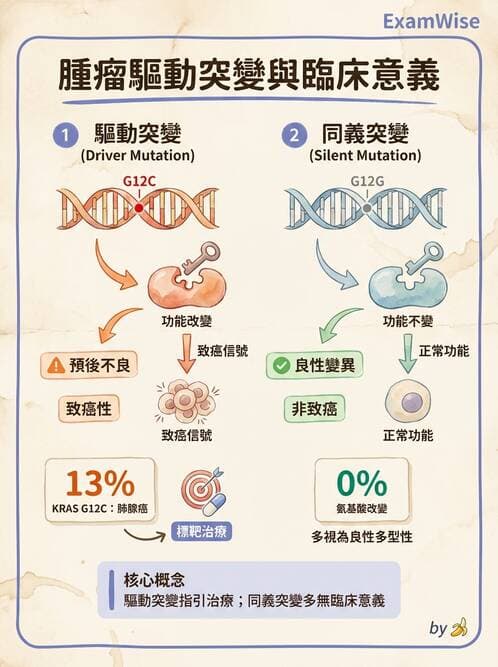 醫檢師 - 腫瘤疾病基因檢測 - AI 圖文解析預覽