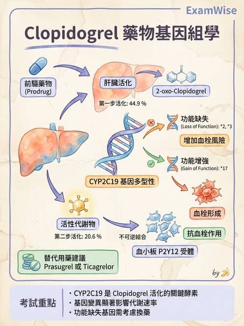 醫檢師 - 藥物相關基因檢測 - AI 圖文解析預覽