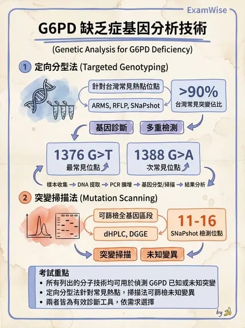 醫檢師 - 藥物相關基因檢測 - AI 圖文解析預覽