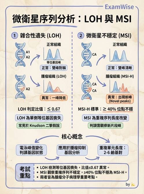 醫檢師 - 藥物相關基因檢測 - AI 圖文解析預覽