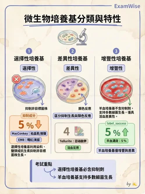 醫檢師 - 檢驗基礎技術 - AI 圖文解析預覽