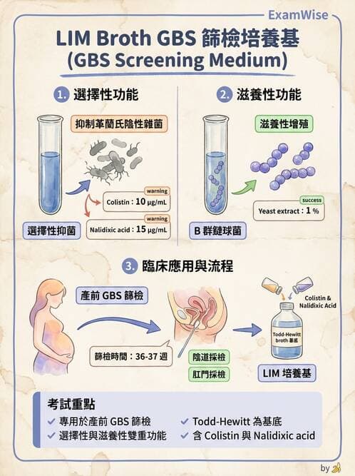 醫檢師 - 檢驗基礎技術 - AI 圖文解析預覽