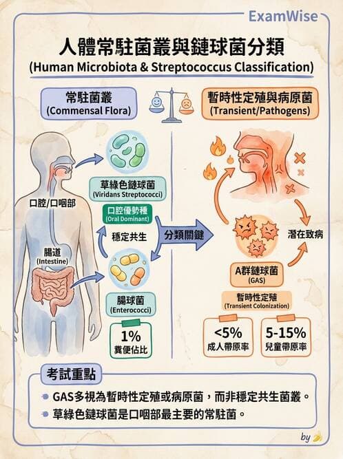 醫檢師 - 檢驗基礎技術 - AI 圖文解析預覽