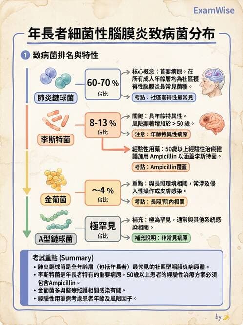 醫檢師 - 感染症與院內感染 - AI 圖文解析預覽