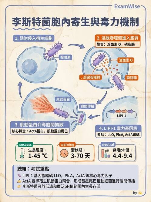 醫檢師 - 鏈球菌與其他革蘭氏陽性桿菌 - AI 圖文解析預覽