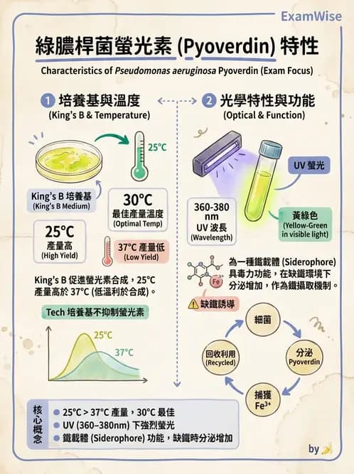 醫檢師 - 非發酵菌 - AI 圖文解析預覽