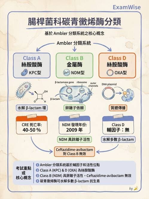 醫檢師 - 抗藥性機制 - AI 圖文解析預覽