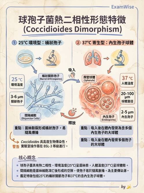 醫檢師 - 系統性與機會性真菌感染 - AI 圖文解析預覽