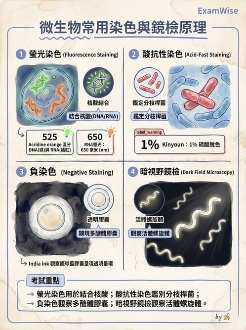 醫檢師 - 檢驗基礎技術 - AI 圖文解析預覽