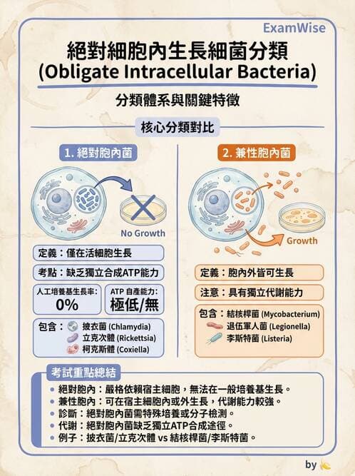 醫檢師 - 鏈球菌與其他革蘭氏陽性桿菌 - AI 圖文解析預覽