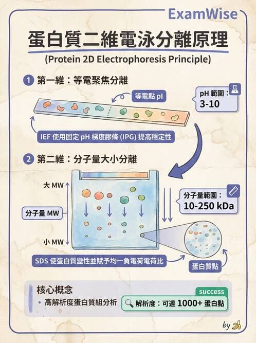醫檢師 - 基本概念與儀器分析 - AI 圖文解析預覽