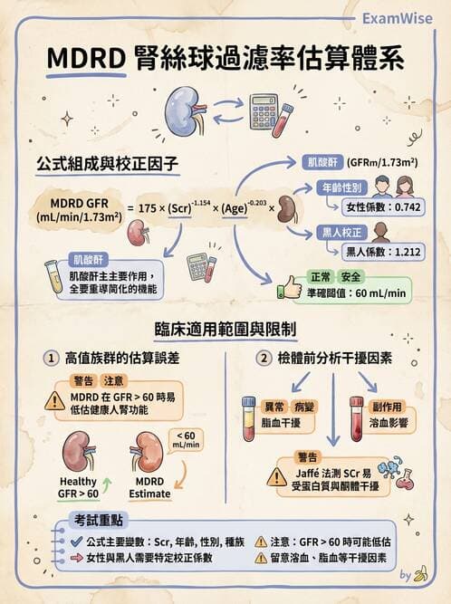 醫檢師 - 腎臟機能與代謝評估 - AI 圖文解析預覽