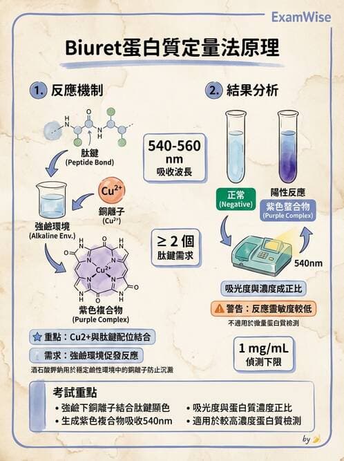 醫檢師 - 血清蛋白與蛋白質檢測 - AI 圖文解析預覽