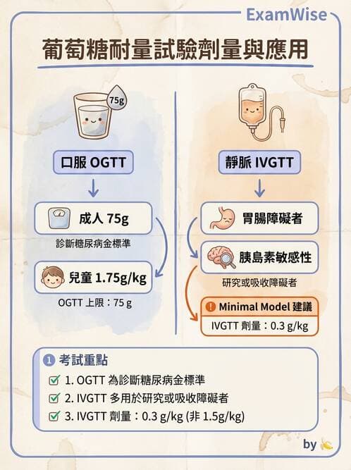 醫檢師 - 醣類代謝與糖尿病 - AI 圖文解析預覽