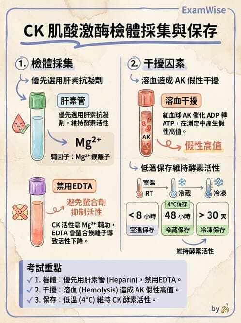 醫檢師 - 心肌標誌與心臟診斷 - AI 圖文解析預覽