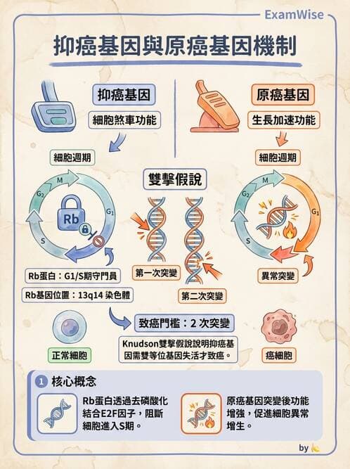 醫檢師 - 腫瘤標誌 - AI 圖文解析預覽