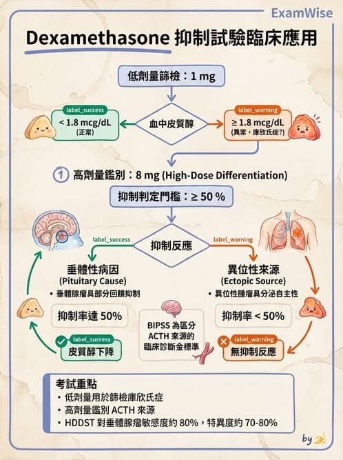 醫檢師 - 腎上腺與生殖內分泌 - AI 圖文解析預覽