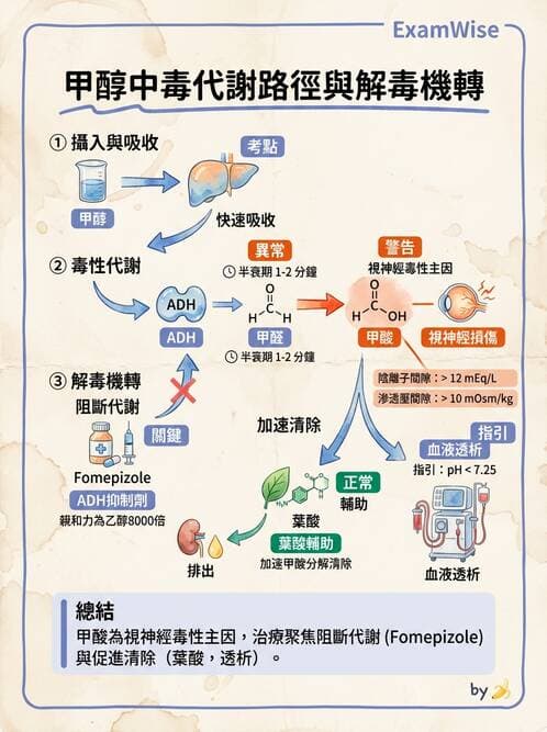 醫檢師 - 治療藥物監測與毒物學 - AI 圖文解析預覽