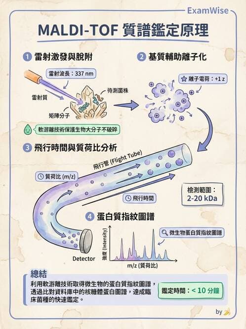 醫檢師 - 基本概念與儀器分析 - AI 圖文解析預覽