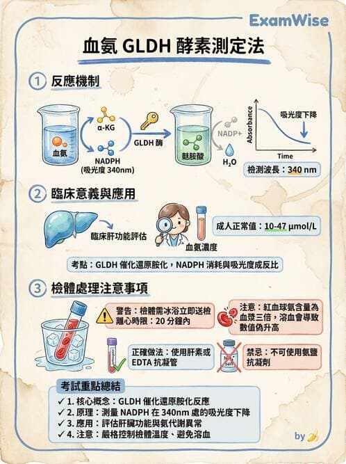 醫檢師 - 腎臟機能與代謝評估 - AI 圖文解析預覽