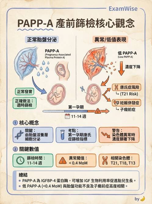醫檢師 - 腫瘤標誌 - AI 圖文解析預覽