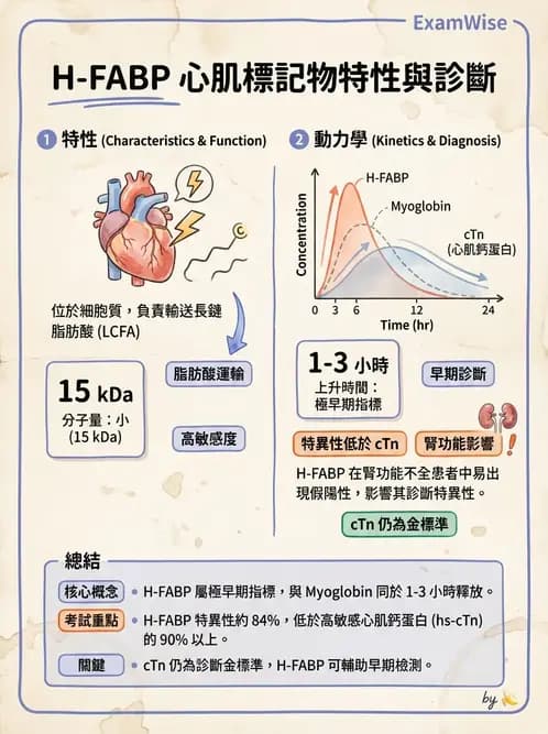醫檢師 - 心肌標誌與心臟診斷 - AI 圖文解析預覽