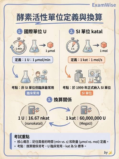醫檢師 - 臨床酵素學基礎 - AI 圖文解析預覽