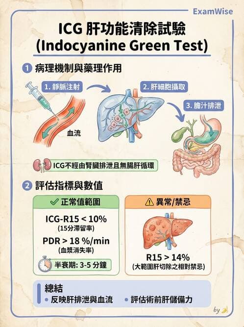 醫檢師 - 肝臟機能與胰臟酵素 - AI 圖文解析預覽