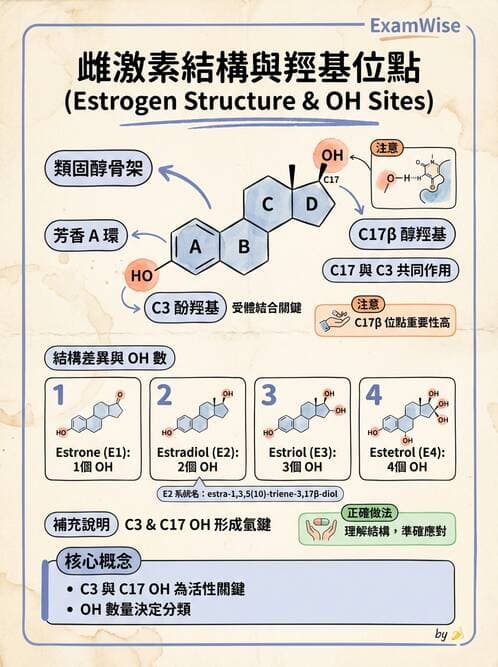 醫檢師 - 腎上腺與生殖內分泌 - AI 圖文解析預覽