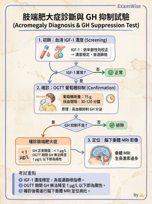 醫檢師 - 甲狀腺與垂體內分泌 - AI 圖文解析預覽