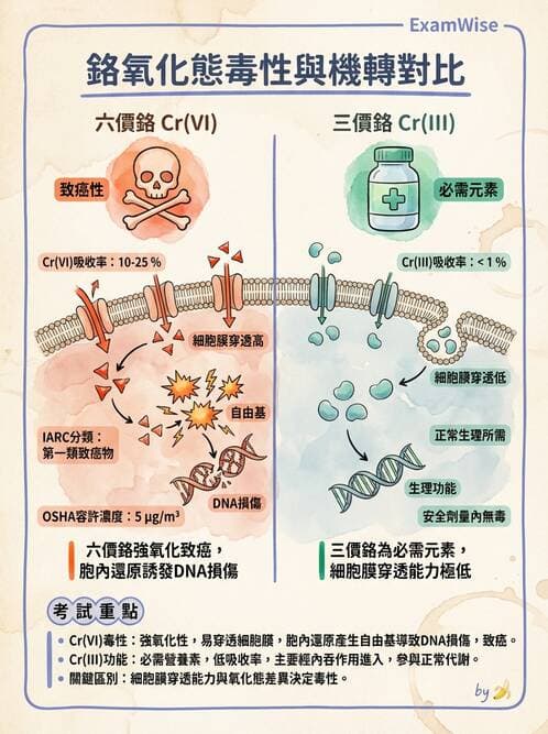 醫檢師 - 治療藥物監測與毒物學 - AI 圖文解析預覽