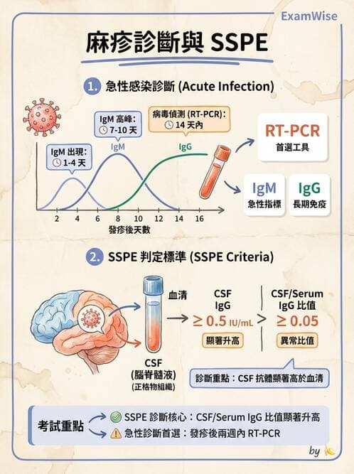 醫檢師 - 實驗室測試免疫法 - AI 圖文解析預覽