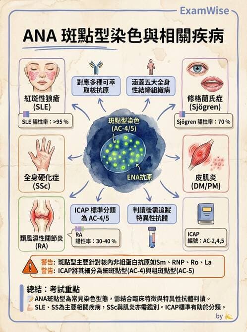 醫檢師 - 其他自體免疫疾病與自體抗體檢驗 - AI 圖文解析預覽
