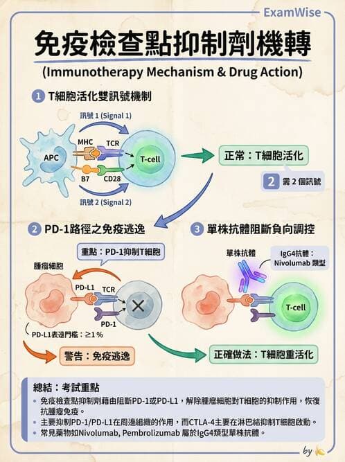 醫檢師 - 腫瘤免疫學免疫療法及疫苗 - AI 圖文解析預覽