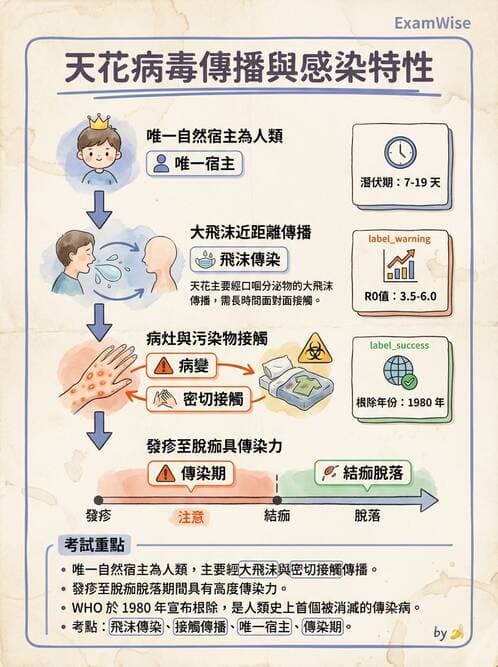 醫檢師 - 腺病毒與痘病毒 - AI 圖文解析預覽
