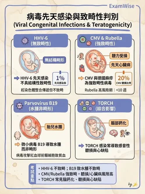 醫檢師 - 病毒檢驗技術 - AI 圖文解析預覽