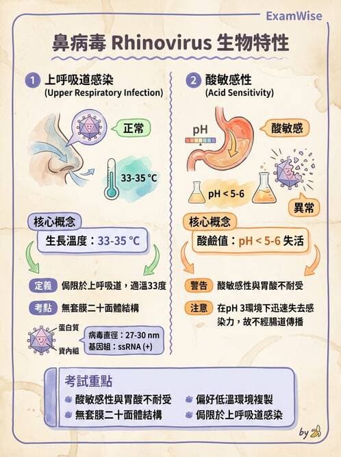 醫檢師 - 小RNA病毒科與腸道病毒 - AI 圖文解析預覽