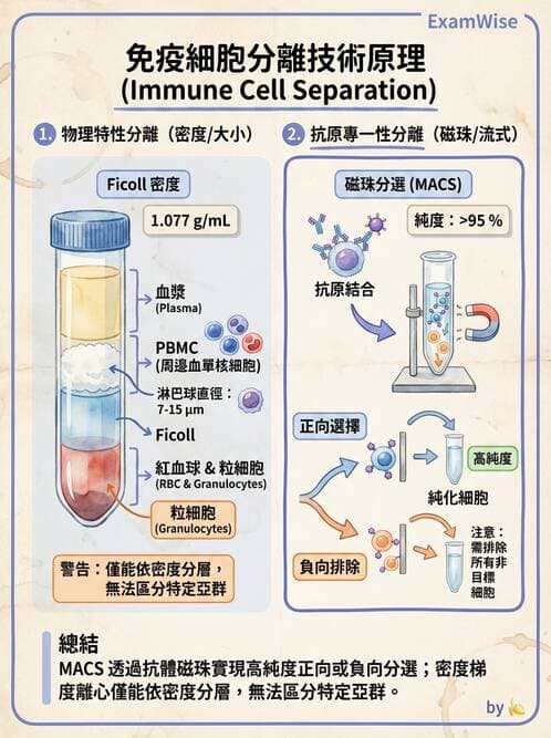 醫檢師 - 實驗室測試免疫法 - AI 圖文解析預覽
